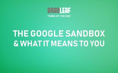 What Is The Google Sandbox And What Does It Mean?