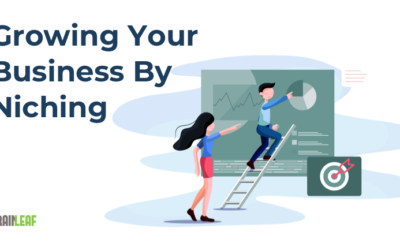 Growing Your Business By Niching